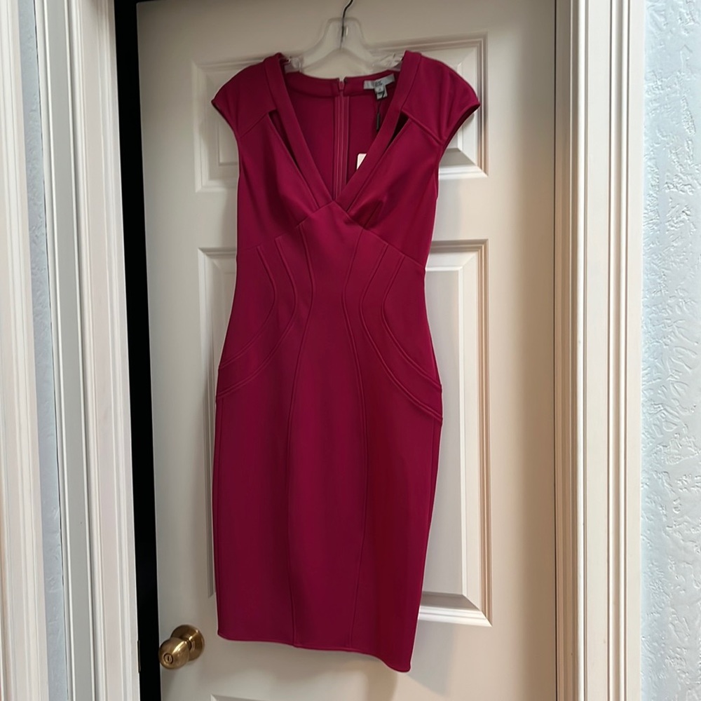 NWT Zac Posen fuschia dress
